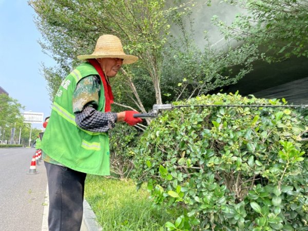 大牛证券港股 不惧“烤”验！“全副武装” 绿化养护工一天修剪300株乔灌木_大皖新闻 | 安徽网