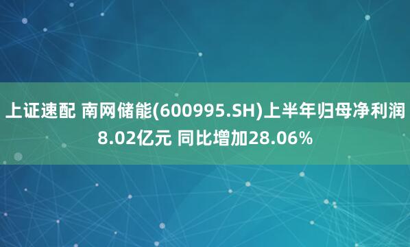 上证速配 南网储能(600995.SH)上半年归母净利润8.02亿元 同比增加28.06%