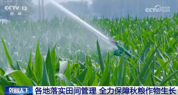 星合证券 智“绘”田管图 科技为全力保障秋粮作物生长装上“数字大脑”_大皖新闻 | 安徽网