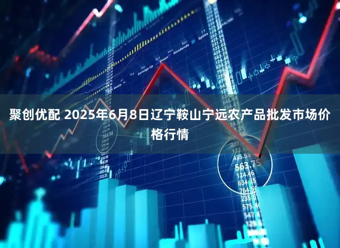 聚创优配 2025年6月8日辽宁鞍山宁远农产品批发市场价格行情