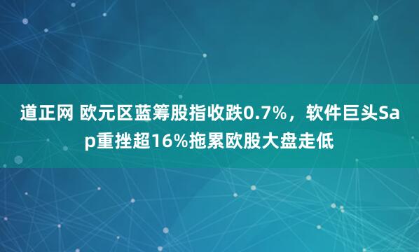 道正网 欧元区蓝筹股指收跌0.7%，软件巨头Sap重挫超16%拖累欧股大盘走低