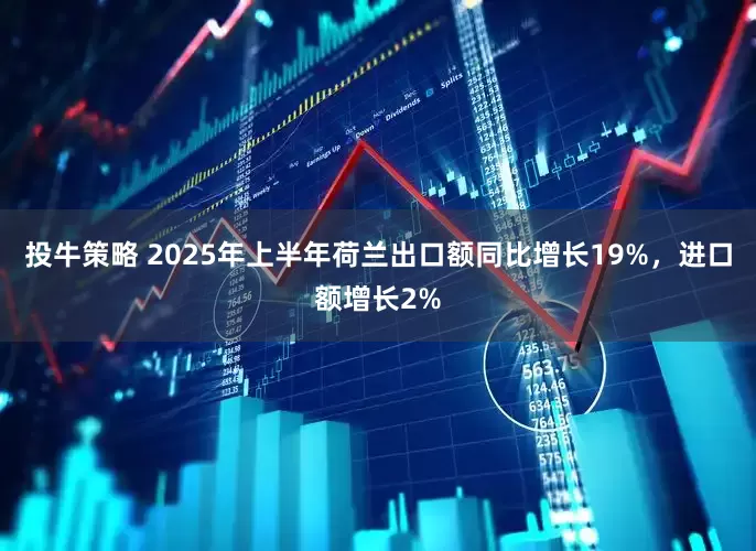 投牛策略 2025年上半年荷兰出口额同比增长19%，进口额增长2%