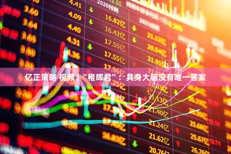 亿正策略 视频 | “稚晖君”：具身大脑没有唯一答案
